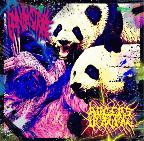 Rogers Met An Iranian : Rogers Met an Iranian - Panda Strike